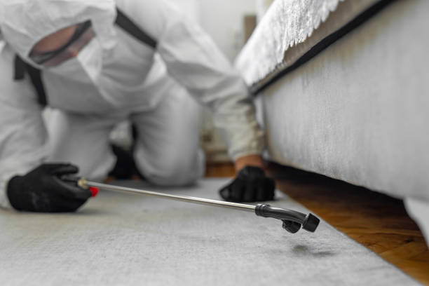Professional Ant Control technician working in Cameron, TX